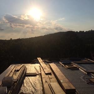 Meet your Posher, Wyatt